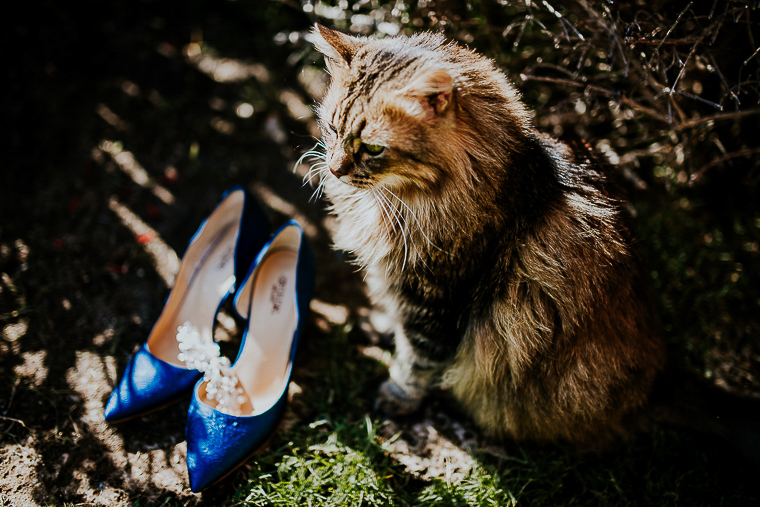 173__Alice♥Jost_Silvia Taddei Sardinia Wedding Photographer 003.jpg